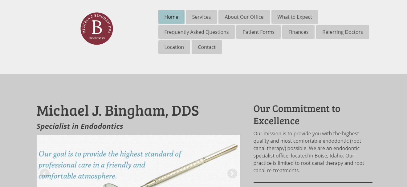 Michael J.Bingham DDS